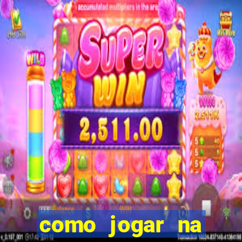 como jogar na seninha online